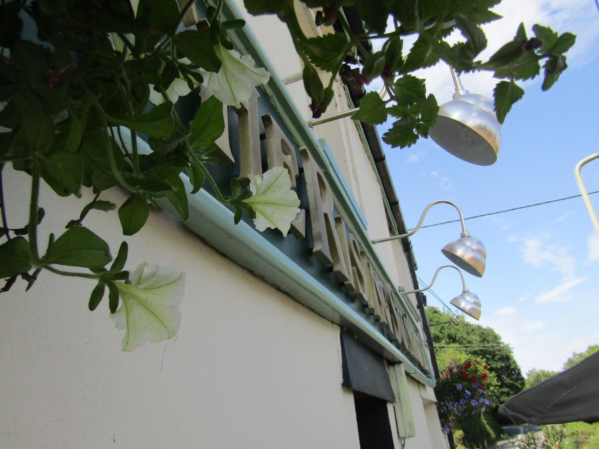 The Rising Sun Bed & Breakfast Barnstaple Ngoại thất bức ảnh